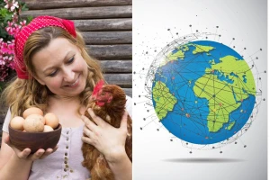 Industrija od 29 milijardi ptica: Kako je živinarstvo postalo stub globalne ishrane