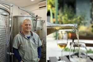 Organska vina Branislava Anđelića: "Tajna je u zdravom grožđu"