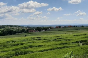 Valjevo nudi povoljne kredite i podsticaje za poljoprivrednike, a za mlade povraćaj do 90 odsto