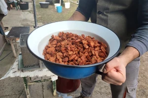 Čvarak fest 5. februara u Sivcu