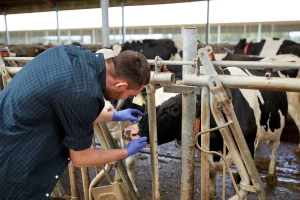 Treći međunarodni simpozijum veterinara u Beogradu