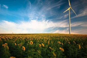 "Zelena energija" za trgovinu biomasom