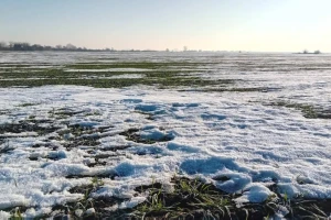 Padavine natopile zemlju, sledi porast temperatura