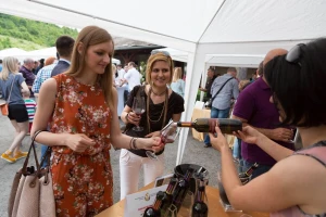 Festival šumadijskih vina u Kraljevoj vinariji