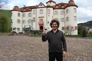 Terase i suvozidi drevnih vinograda s pogledom na dvorac za vina veće vrednosti