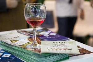 Vršac: Male porodične vinarije kao brend