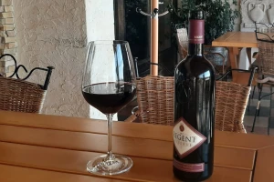 "Srpska Toskana": Sinergija vinarstva, turizma i gastronomije