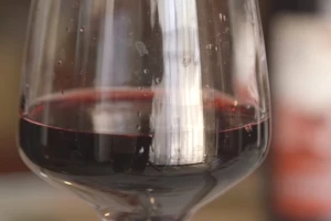 Proizvodnja vina u Sićevu