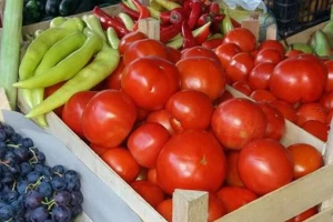 Voće i povrće duplo skuplje na jugu države nego u velikim gradovima