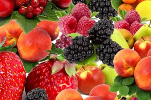 PROFIFRUIT po prvi put u Beogradu