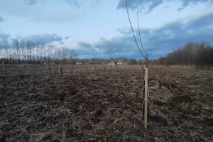 IPARD III: Podnošenje zahteva za investicije u fizičku imovinu u voćarstvu