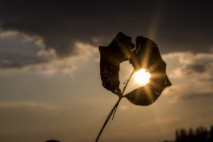 Toplo i sunčano do nedelje