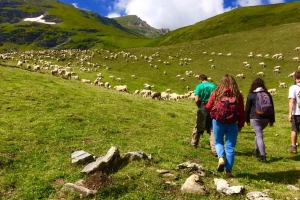 250.000 evra za projekte u okviru Fonda za Zapadni Balkan