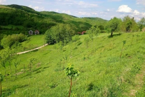 Zakup zemljišta obara rekorde: Stočarima 90.000 hektara
