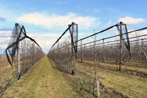 Podsticaji: voćnjaci, vinogradi, hmelj