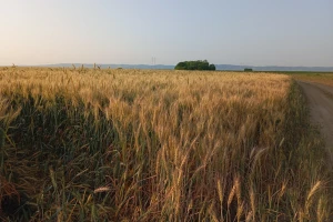 RHMZ: Umerena i jaka suša u većem delu zemlje