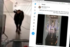 Bik uleteo u banku - zaposleni pokušali da ga uhvate