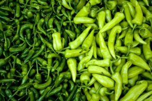 Paprika nosi čitavu povrtarsku proizvodnju