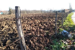 Šumadijskom zemljištu nedostaje organske materije - kako je povratiti?