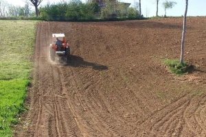 Zakup državnog poljoprivrednog zemljišta u Šapcu, Šidu, Čajetini, Inđiji i Odžacima