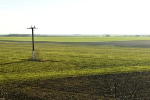 Koje količine NPK elemenata zahtevaju ratarske i povrtarske kulture?
