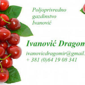 Dragomir Ivanović