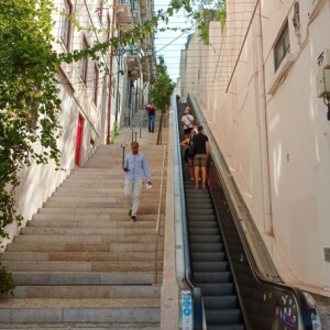 Vishnja Malić