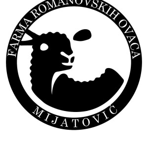 Goran Mijatovic